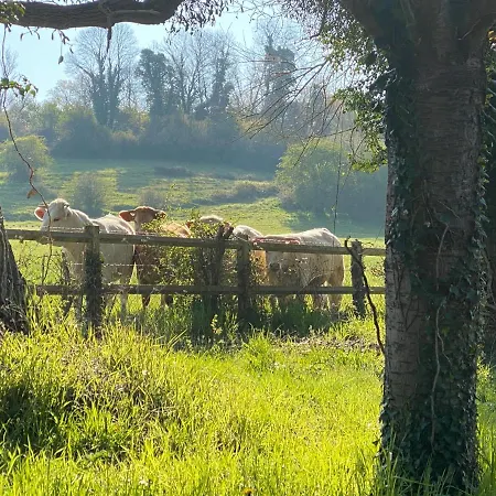 La Longere De Mathilde Manneville-la-Pipard