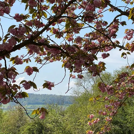 La Longere De Mathilde Vakantiehuis Manneville-la-Pipard