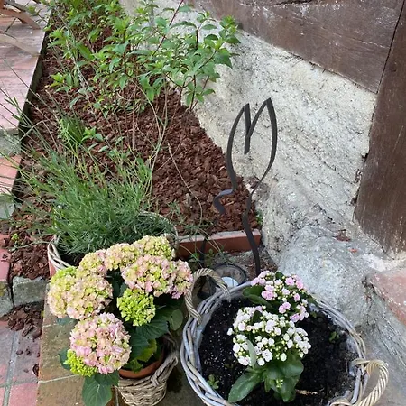 بيت للعطل La Longere De Mathilde Manneville-la-Pipard