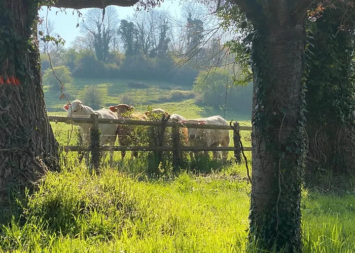 La Longere De Mathilde Manneville-la-Pipard