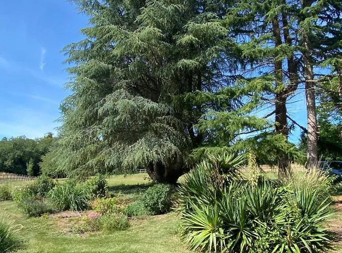 Ferienhaus La Longere De Mathilde Manneville-la-Pipard